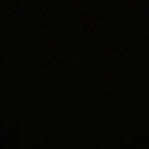 Meet your Posher, Bella